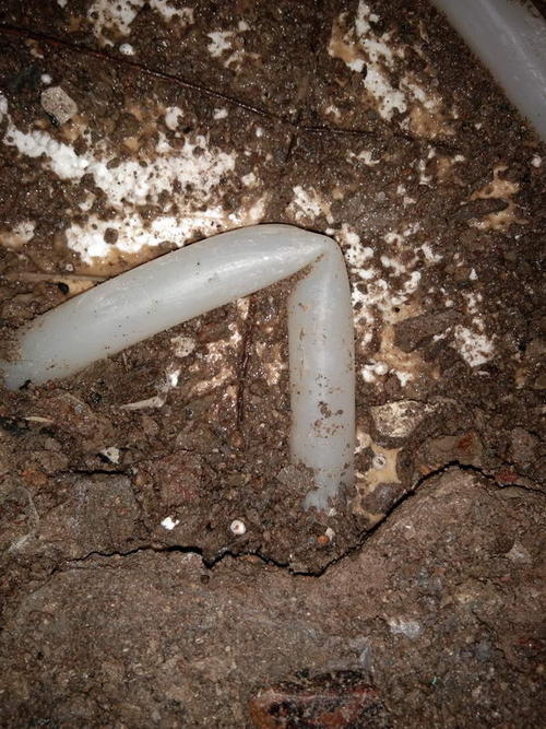 突泉堵点精准查找